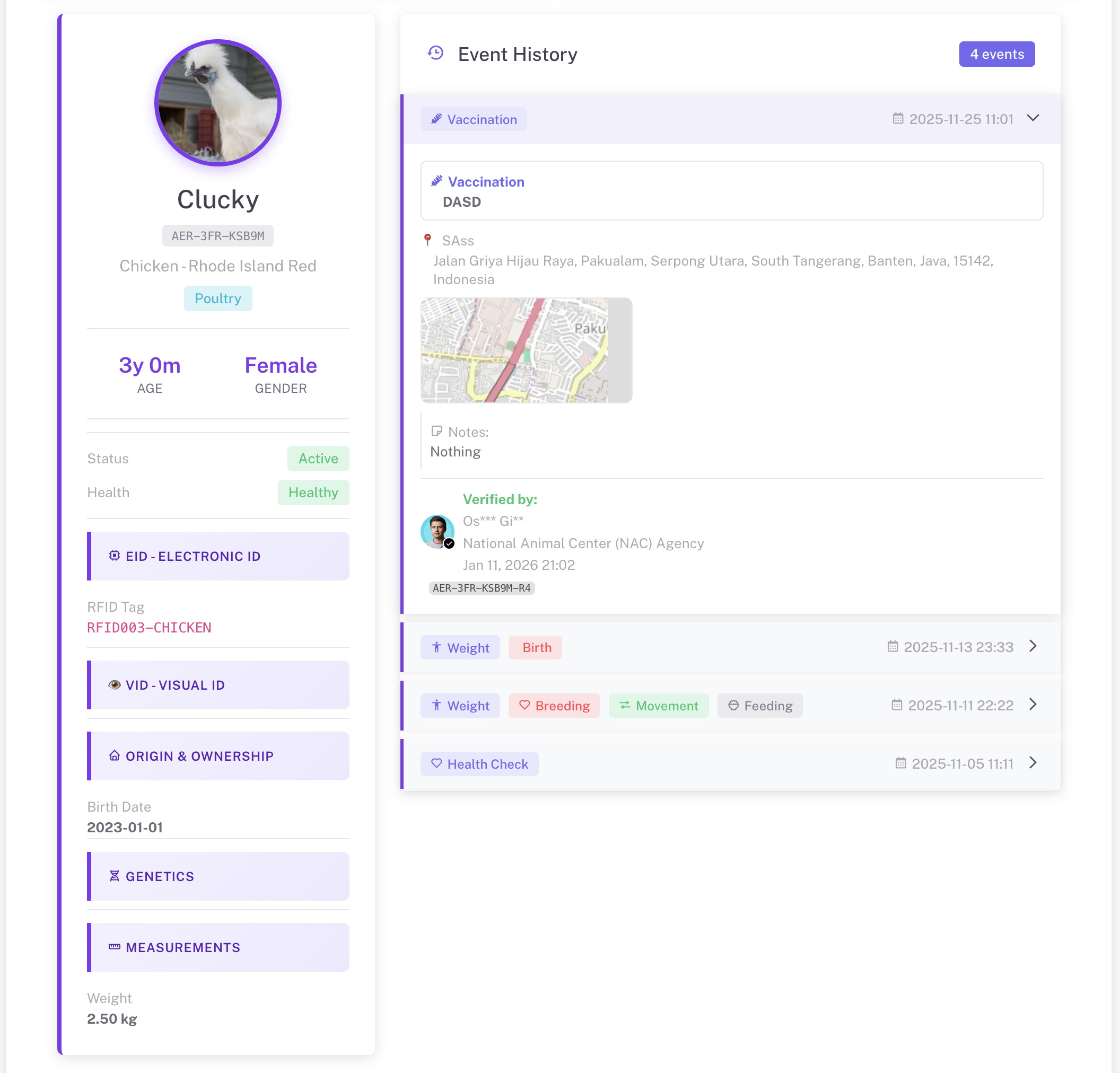 Linimasa Hewan Peliharaan